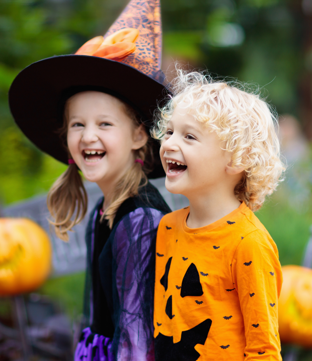 Fall Fest